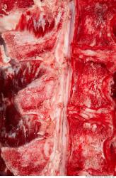 Photo Textures of Beef Meat